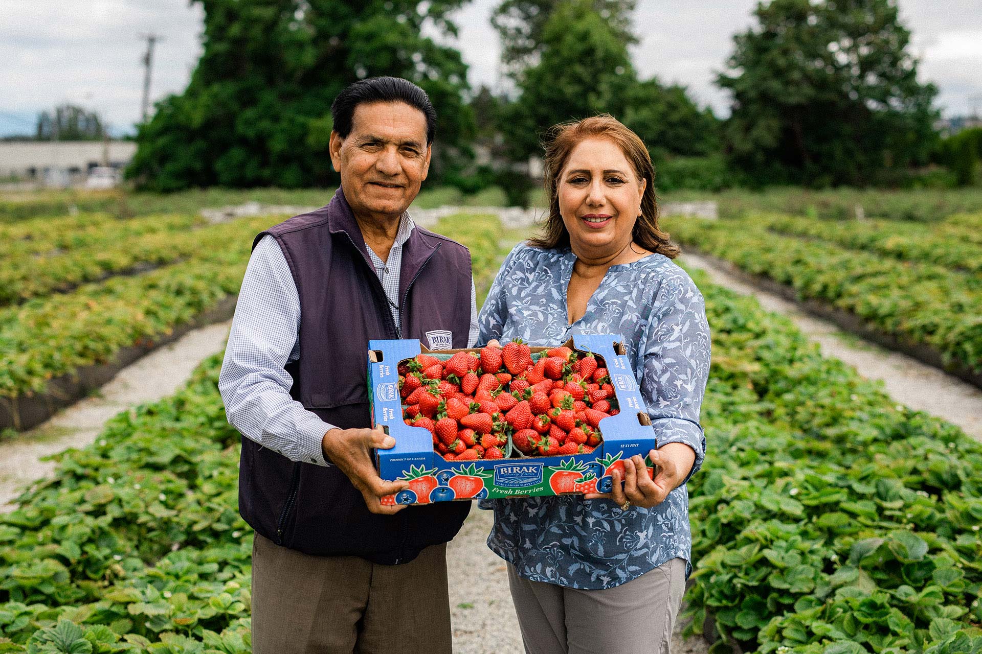 Two smiling people holding a box of freshly picked strawberries at Birak Berry Farm in Richmond, British Columbia